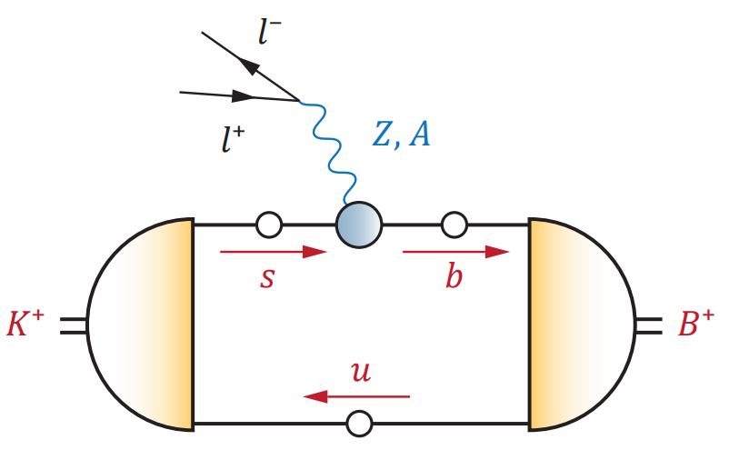 QCD contributions to flavour anomalies